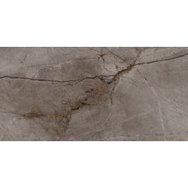 Bien Root 60x120 Ash polished ceramic tile