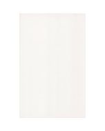 Keraamiline seinaplaat Biala Matowa 25X40 valge matt