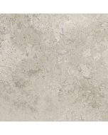 Keraamiline seina- ja põrandaplaat Porcelanite Dos Baltimore poleeritud rectificado 1821 hall 98x98 PT10319