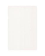 Keraamiline seinaplaat Biala Gladka 25X40 valge läikiv