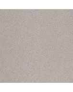 Keraamiline põrandaplaat Rako TAURUS 76S 20x20x0,8 NORDIC TAA25076 (R10/B)