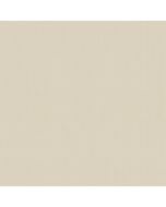 Tapeet P+S 03882-60 10,05×0,53m Delight