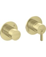 Deante Silia dušisegisti, horisontaalne, ümberlülitiga, harjatud kuld BQS_R46P