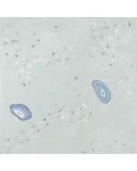 Keraamiline seinaplaat Apavisa Geodas roheline 60x60