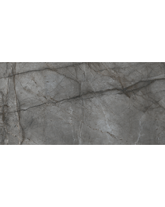 Keraamiline seina- ja põrandaplaat  ROOT 60x120 SILVER poleeritud 7mm