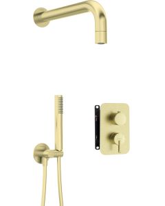 Deante Silia peidetud dušikomplekt segistiga BOX ja väikese dušiotsikuga harjatud kuld BXYZRQSM