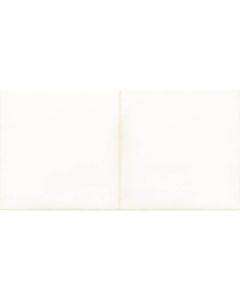 Keraamiline seinaplaat Retro White 20x40 WARMB521