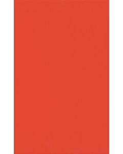 Keraamiline seinaplaat CZERWONA GLADKA 25×40