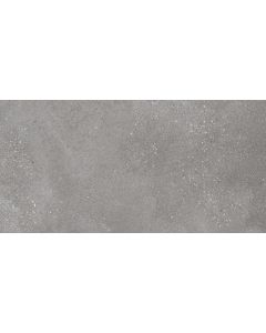 Keraamiline plaat Rako BETONICO grey 30x60 DAKSE791