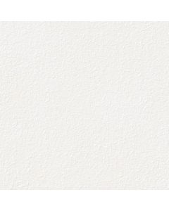 Keraamiline plaat Rako BETONICO whitegrey 60x60x2 R11 DAR66790