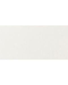 Keraamiline seinaplaat Tess Ivory 20X40 WADMB450