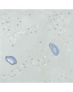 Keraamiline seinaplaat Apavisa Geodas roheline 60x60